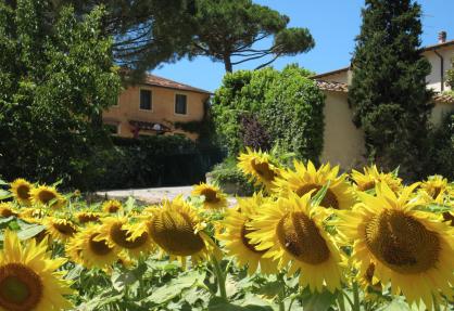 Agriturismo for families with large pool and paddling pool